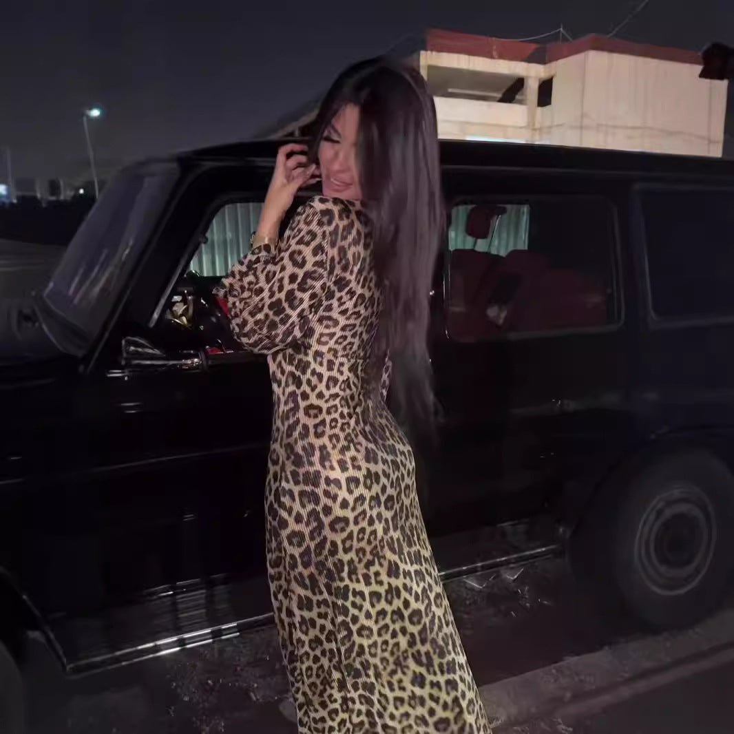 1V-Neck Slit Sexy Long Dress